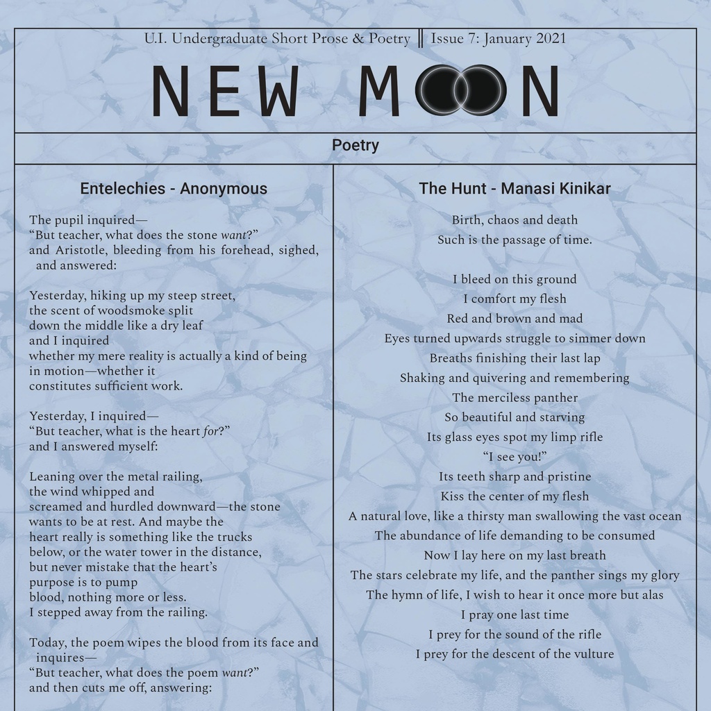 New Moon Issue 7